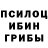 Псилоцибиновые грибы Psilocybe 1apreme