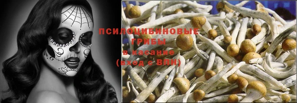 ALPHA-PVP Долгопрудный