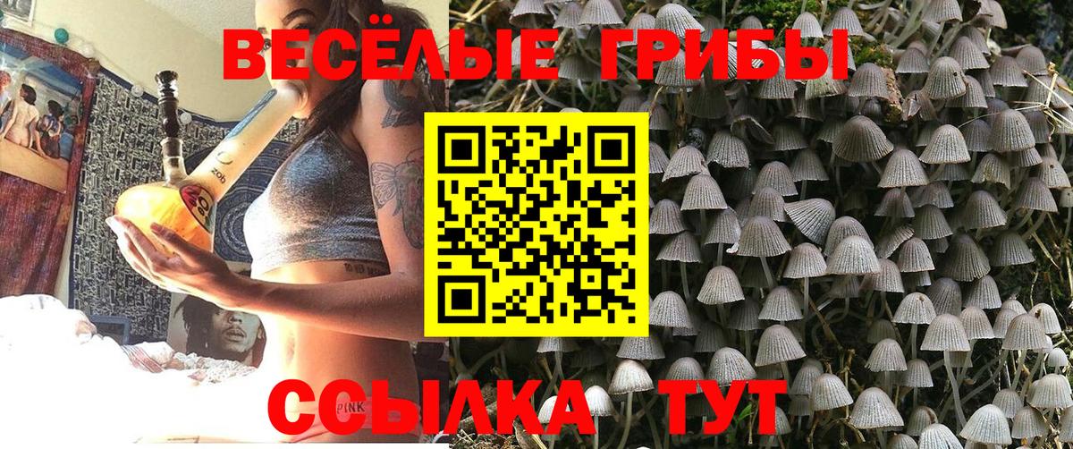 Амурск  Галлюциногенные грибы прущие грибы  Вход с VPN 