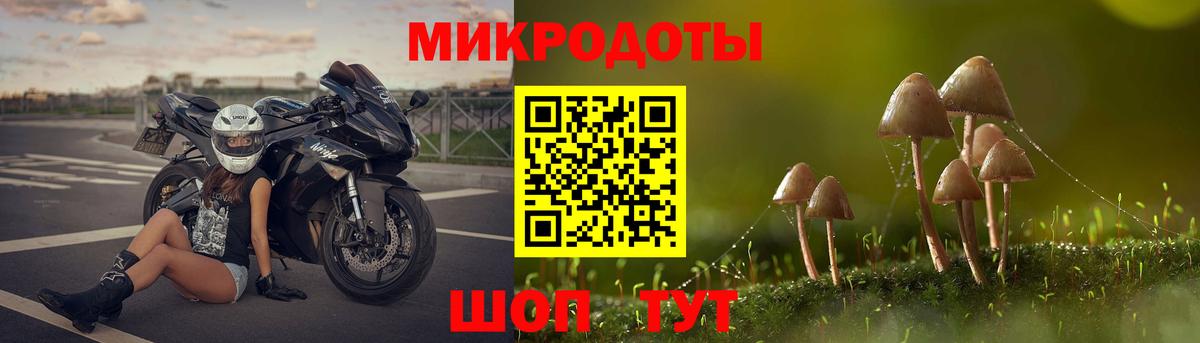 Псилоцибиновые грибы GOLDEN TEACHER Амурск